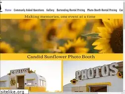 Sites similar to sunflowertrailers.com