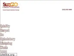 Sites similar to sunglocarpetcleaning.com