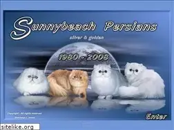 Sites similar to sunnybeach.de