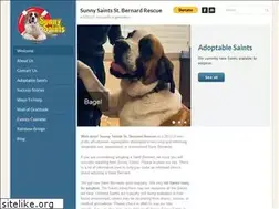 Sites similar to sunnysaints.org