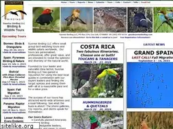 Sites similar to sunrisebirding.com
