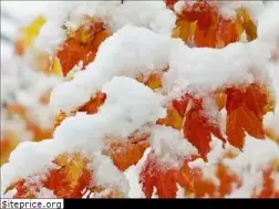 Sites similar to sunriseholidays.net