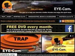 Sites similar to sunrisevideo.com