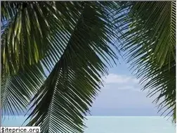 Sites similar to sunsearchervacations.com