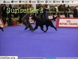 Sites similar to sunsetters.de