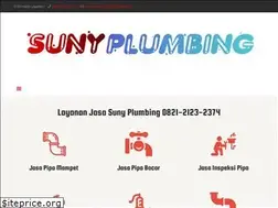 Sites similar to suny-plumbing.com
