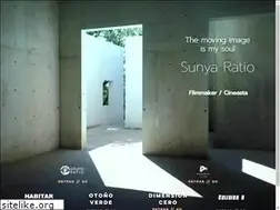 Sites similar to sunyaratio.com