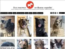 Sites similar to super-sobaka.ru