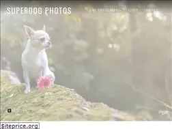 Sites similar to superdogphotos.com