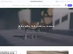 Sites similar to superfunguy.net