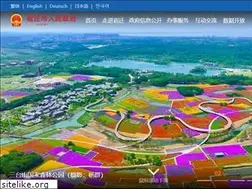 Sites similar to suqian.gov.cn