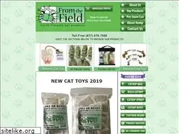 Sites similar to sur-le-champ.com