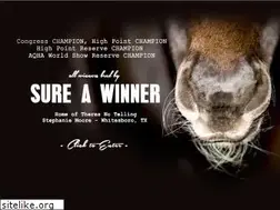 Sites similar to sureawinner.com