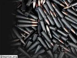Sites similar to sureshotguns.com
