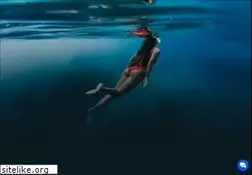 Sites similar to surfcampinportugal.com