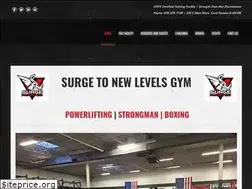 Sites similar to surgetonewlevels.net