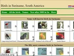 Sites similar to surinamebirds.nl