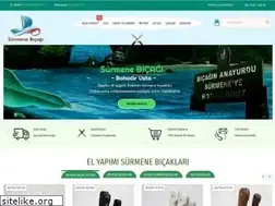 Sites similar to surmenebicagi.net