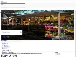 Sites similar to surprizeflori.md
