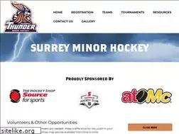 Sites similar to surreyminorhockey.com