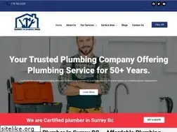 Sites similar to surreyplumbingpros.com