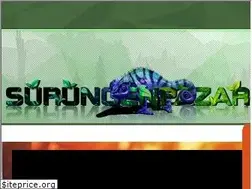 Sites similar to surungenpazari.com