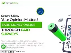 Sites similar to surveybakery.com