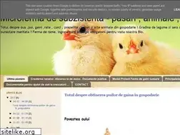 Sites similar to surviving-home.blogspot.com