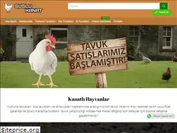 Sites similar to suslukanat.com