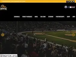 Sites similar to sussexcountyminers.com