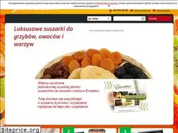 Sites similar to suszarkidoowocow.pl