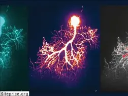 Sites similar to suvrathanlab.org