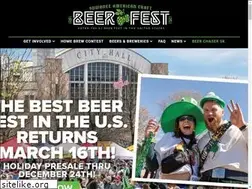 Sites similar to suwaneebeerfest.com