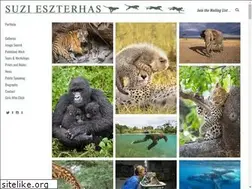 Sites similar to suzieszterhas.com