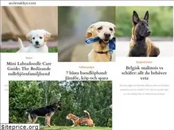 Sites similar to sv.acelenakliye.com