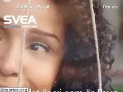 Sites similar to sveaekonomi.se