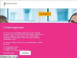 Sites similar to sverigesingenjorer.se
