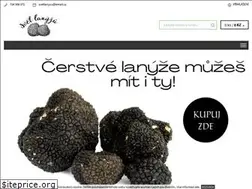 Sites similar to svetlanyzu.cz