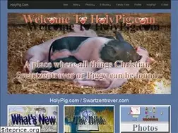 Sites similar to swartzentrover.com
