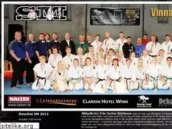 Sites similar to swedenkyokushin.se