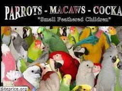 Sites similar to sweetacrebirdfarm.com