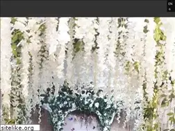 Sites similar to sweetheartschapel.com