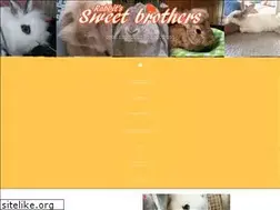 Sites similar to sweetsbrothers.com