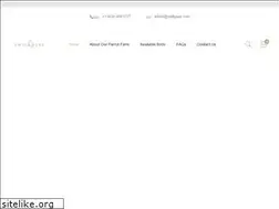 Sites similar to swiftpups.com