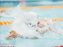 Sites similar to swimbullsharks.com