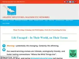 Sites similar to swimming-with-dolphins.com
