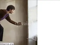 Sites similar to sylvain-homo.com