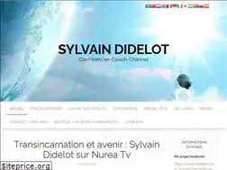 Sites similar to sylvaindidelot.com