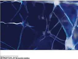 Sites similar to synapticpg.com