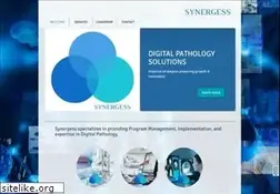 Sites similar to synergess.com